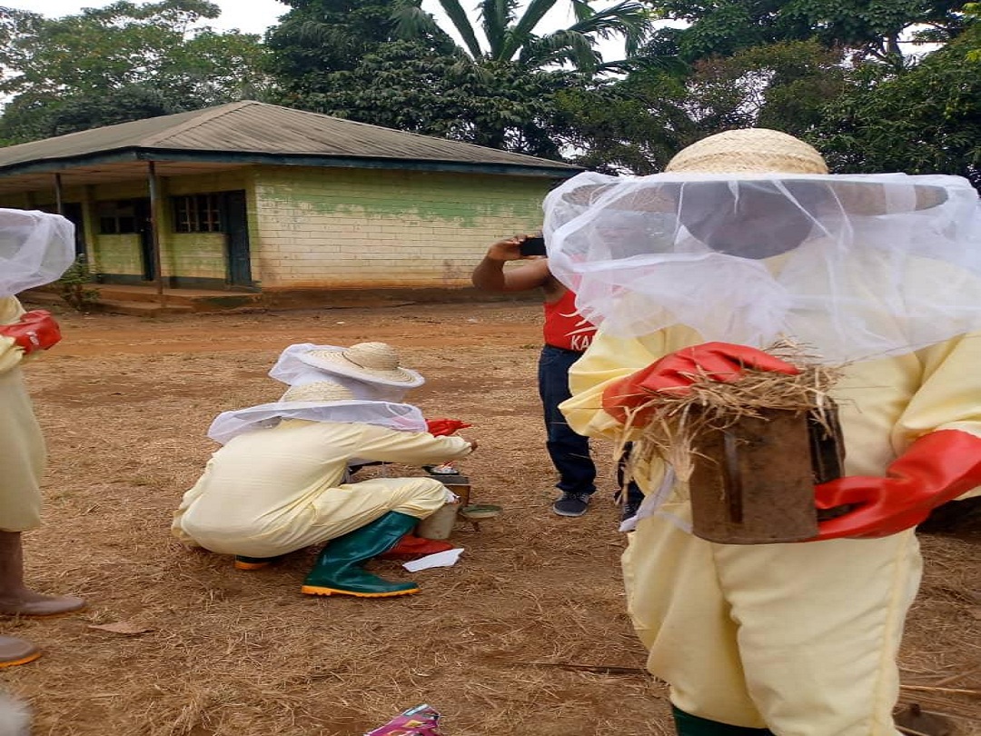 Bee Farming